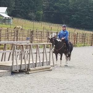 Meet your Posher, Joy